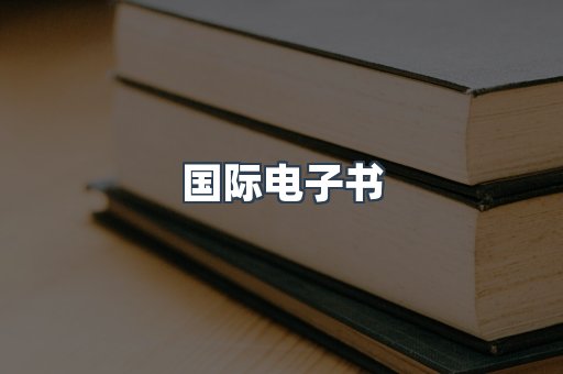 国际电子书